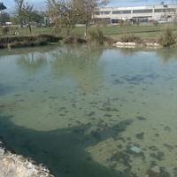 Terme Libere Piscine Carletti