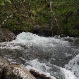 Bubbelen