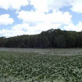Keating's Lagoon