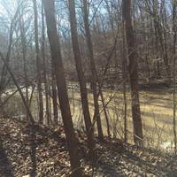 Hayes Arboretum