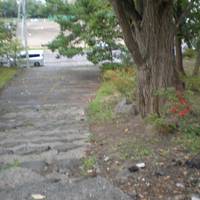 Park Otaru
