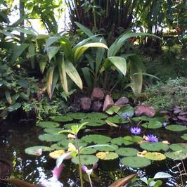 Les Jardins Suspendus
