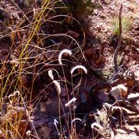 Atalaya Mountain Hiking Trail