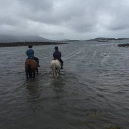 Carrowholly Stables & Trekking Centre