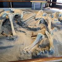 The Robert J. Lagomarsino Visitor Center at Channel Islands National Park