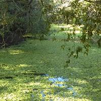 Parque Eco-Arqueológico de Bocana Copalita