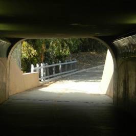 Stevens Creek Trail