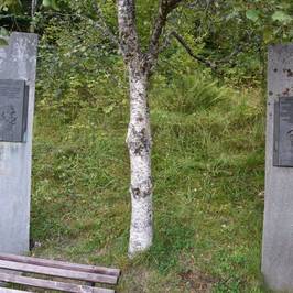 The Royal Birch and the Peace Grove
