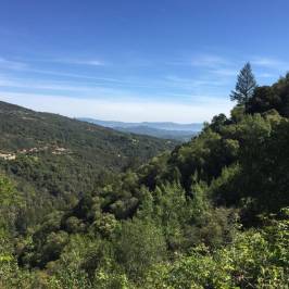 Uvas Canyon County Park