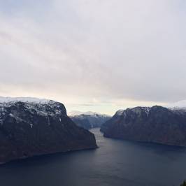 FjordSafari