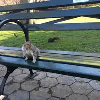 Greeley Square Park