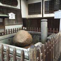 Tamanoishi