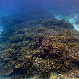 Aliguay Island