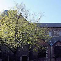 Collégiale Saint-Denis
