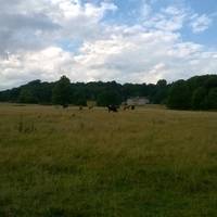 Dinton Park & Philipps House
