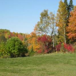 Fort Creek Conservation Area