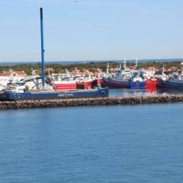 Skagen Lystbaadehavn