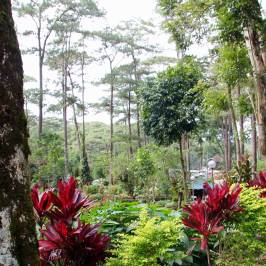 Botanical Garden