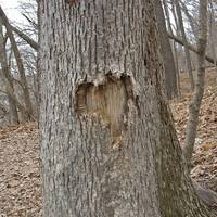 Palisades-Kepler State Park