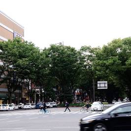 Jozenji-dori Avenue