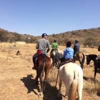 Horseback Africa