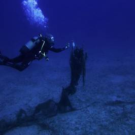 Ege Octopus