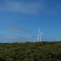 Albany Wind Farm