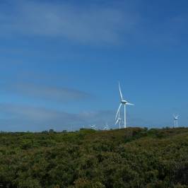 Albany Wind Farm