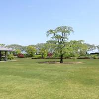 The Suiboku Museum