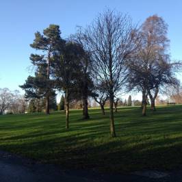 Pittencrieff Park