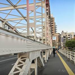 Kaiunbashi Bridge