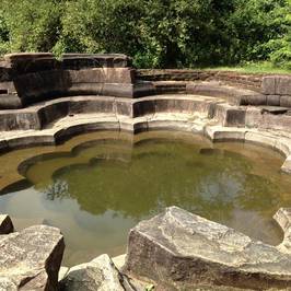 Lotus Pond