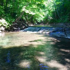 Grimes Glen