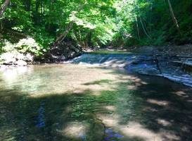 Grimes Glen