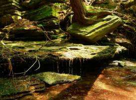 Clarks Gully