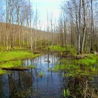 West River Marsh