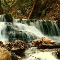 Parish Glen / Conklin Gully