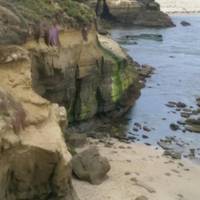 Shell Beach Tide Pools