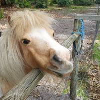 Albany Bird Park and Marron Farm