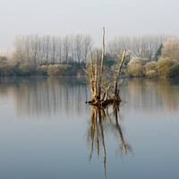 Radley Lakes / Thrupp Lake Trail