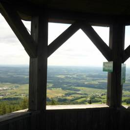 Ringwarte
