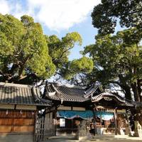 Tsukuohachiman Shrine