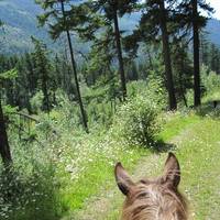 Double Star Ranch