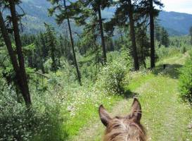 Double Star Ranch