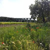 Aqueduct de Castries