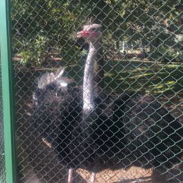 Gaziantep Zoo