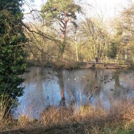 East Carlton Country Park