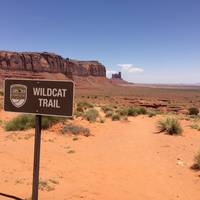 Wildcat Trail
