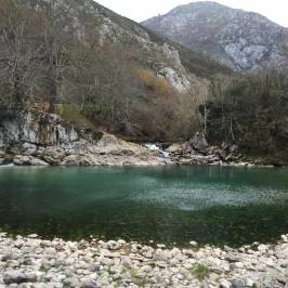 Rio Dobra