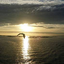 Cruceros Rias Baixas